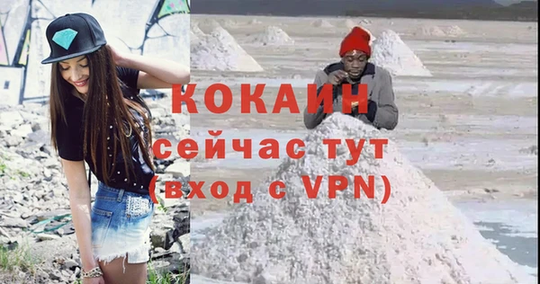 индика Верея